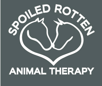 Spoiled Rotten Animal Therapy A4 Performance short sleeve tee