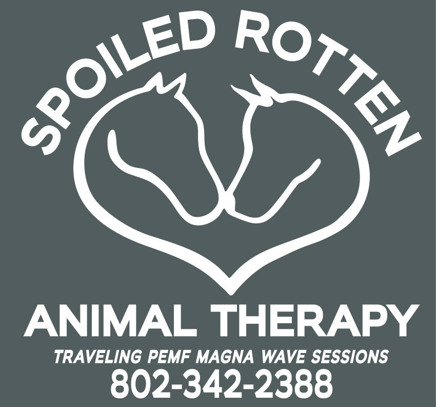 Spoiled Rotten Animal Therapy A4 Performance short sleeve tee