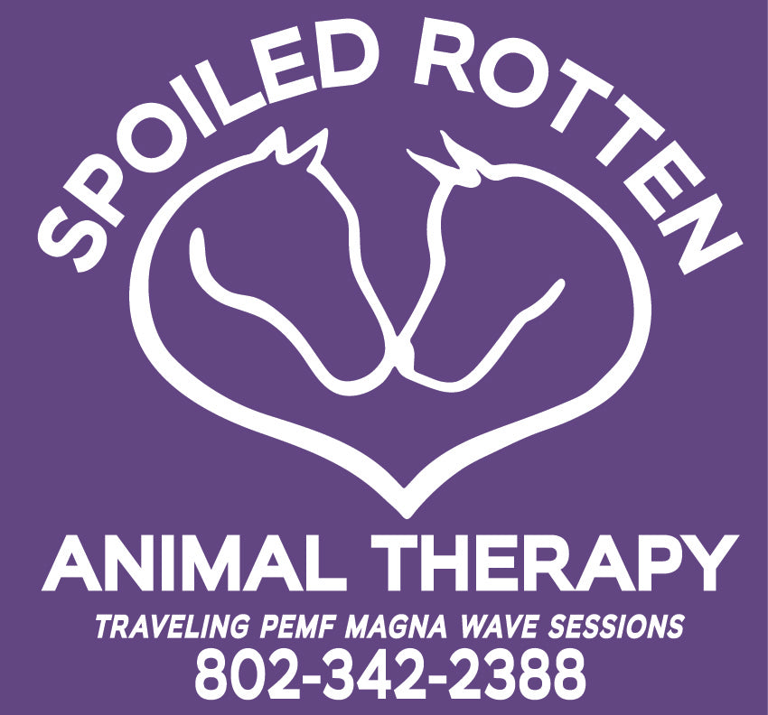 Spoiled Rotten Animal Therapy Gildan softstyle short sleeve tee