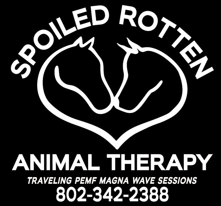 Spoiled Rotten Animal Therapy Gildan short sleeve tee