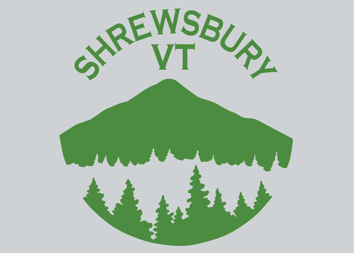 Town of Shrewsbury Large Canvas Tote