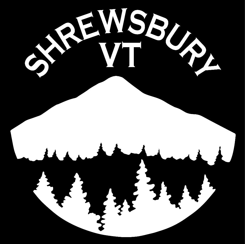Town of Shrewsbury Performance T-Shirt